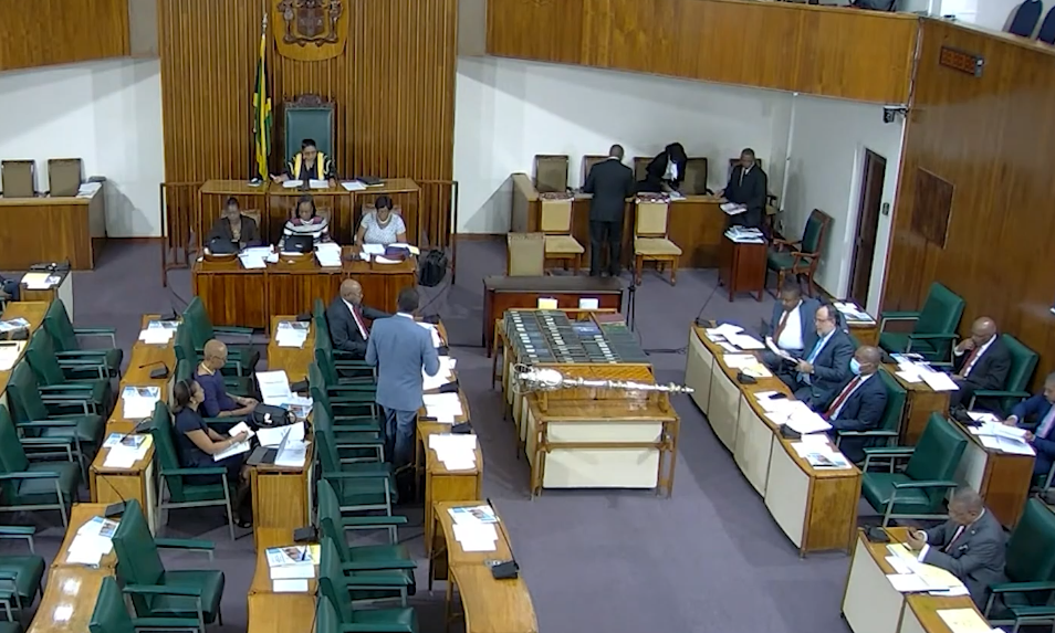 Gov’t Adds $4.3 Billion To Proposed Budget - CVM TV